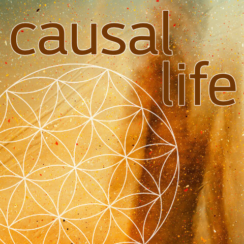 Causal life